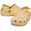 imageCrocs Kids Classic Glitter ClogGolden Hour