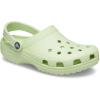 imageCrocs Unisex Adult Classic ClogCelery