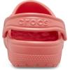 imageCrocs BabyGirls Classic Littles Clogs InfantNeon Watermelon