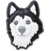 Husky Dog