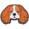 King Charles Cavalier
