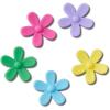 Flower Power 5-Pack