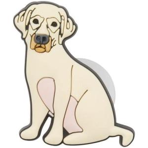 imageCrocs UnisexAdult Jibbitz  Pets ampamp Animal Shoe Charms Cat ampamp Dog Singles for Girls ampamp BoysYellow Lab