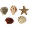imageCrocs Jibbitz Around The World Charms for Kids Shoes  100 ManMade Material  SyntheticShe Sells Seashells