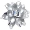 imageCrocs UnisexAdult Jibbitz Shoe Charms  Holiday and Christmas Shoe Charm Singles Cute Charms for Girls and BoysSilver Present Bow