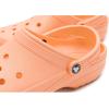 imageCrocs UnisexAdult Classic Clog Clogs for Women and MenElectric Sunstone