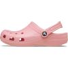 imageCrocs UnisexAdult Classic Clog Clogs for Women and MenPowder Pink